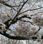 3月最終日ですね。