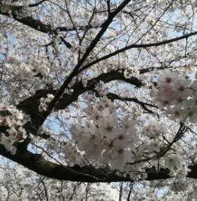 3月最終日ですね。